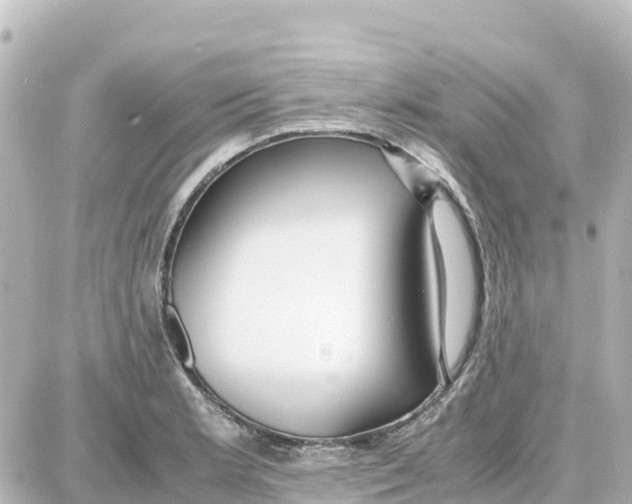 X0000087691181200705251701