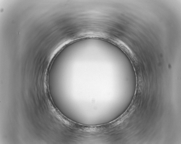 X0000087691182200705251701