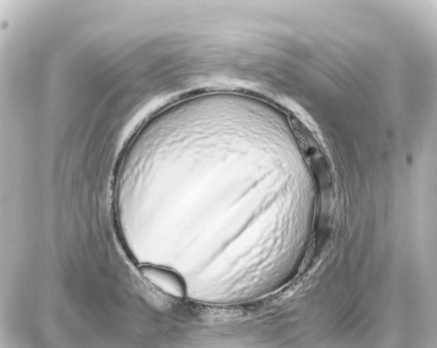 X0000087691183200705251701