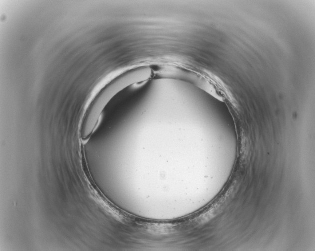 X0000087691184200705251701