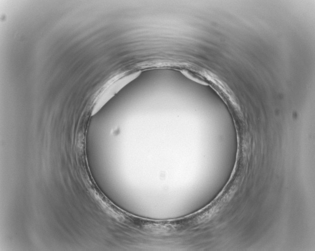 X0000087691185200705251701