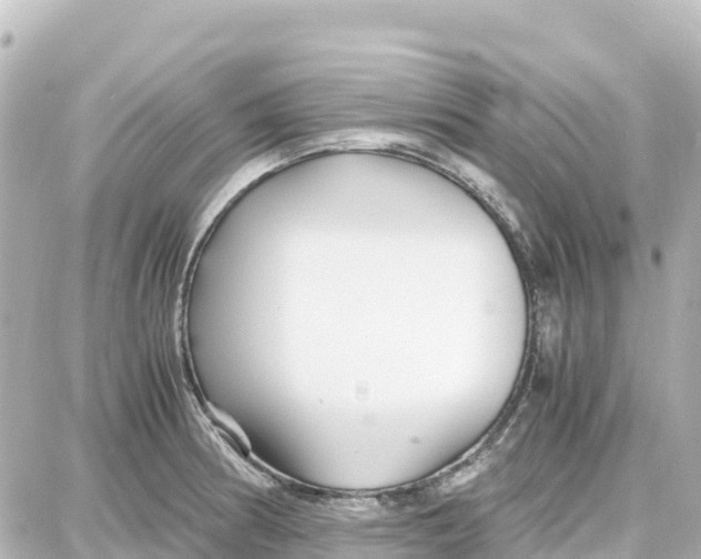 X0000087691186200705251701