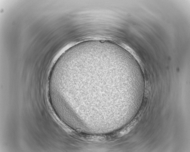 X0000087691187200705251701