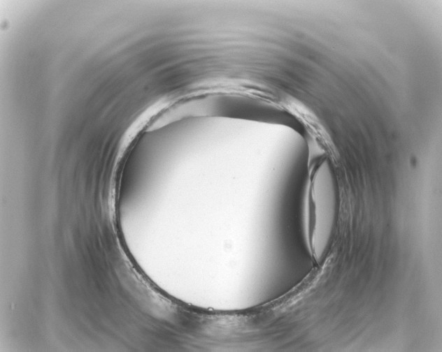 X0000087691188200705251701