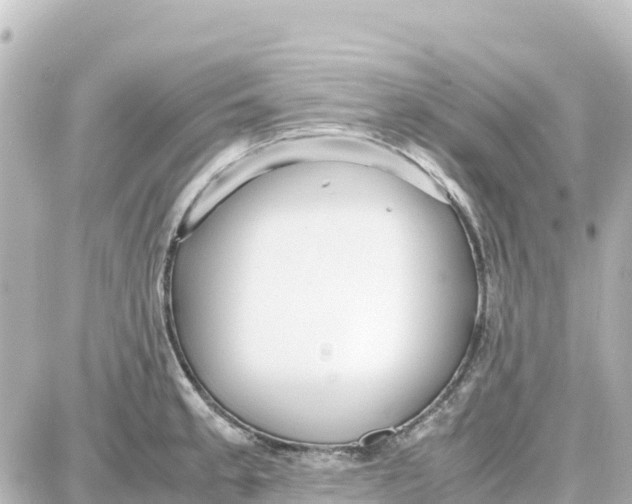 X0000087691189200705251701