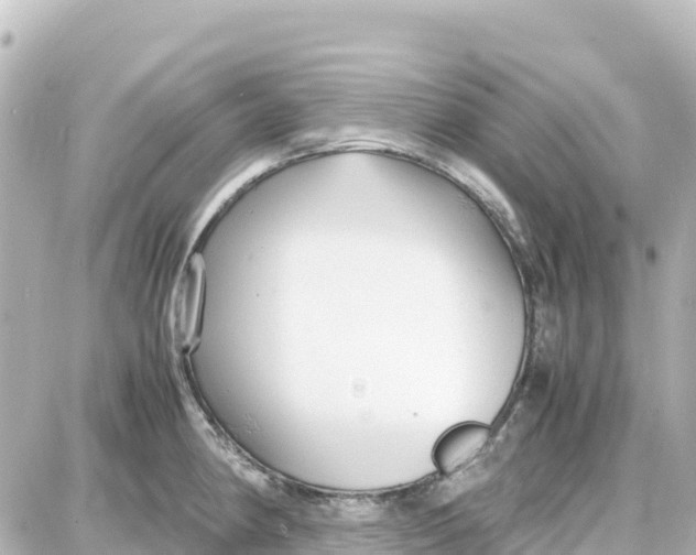 X0000087691190200705251701