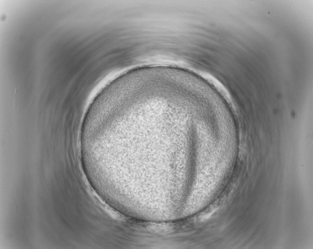 X0000087691191200705251701