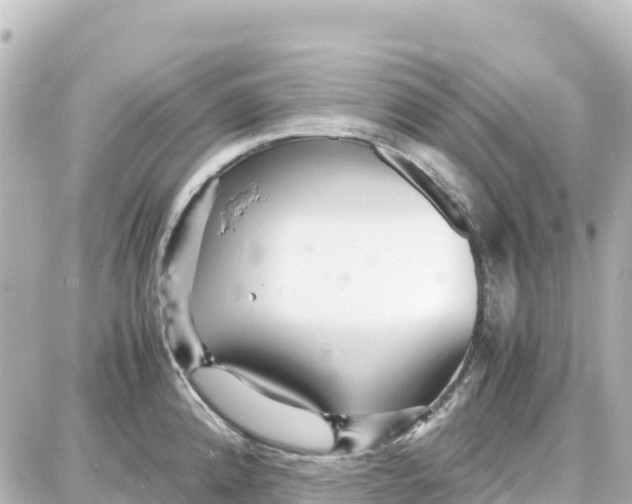 X0000087691192200705251701