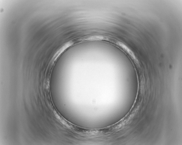 X0000087691193200705251701