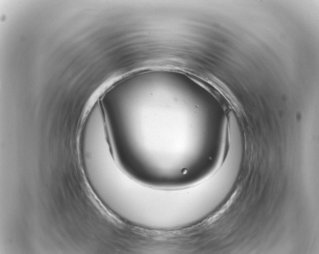 X0000087691196200705251701