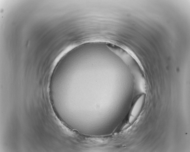 X0000087691197200705251701