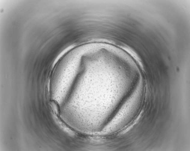 X0000087691198200705251701