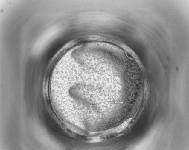 X0000087691199200705251701