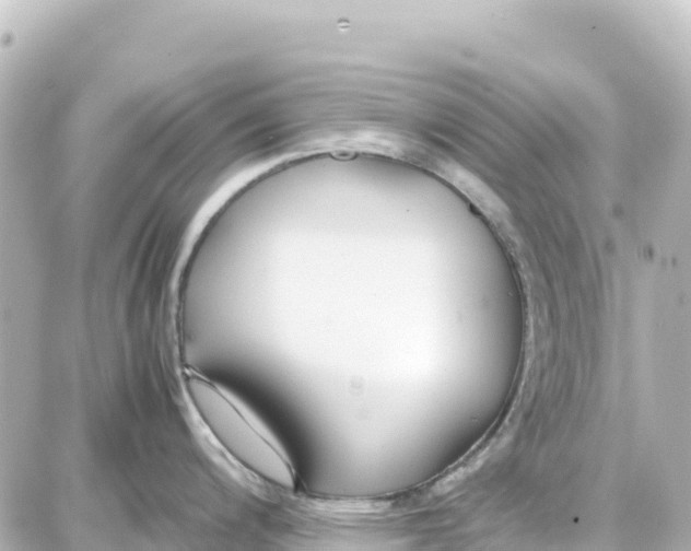 X0000087691200200705251701