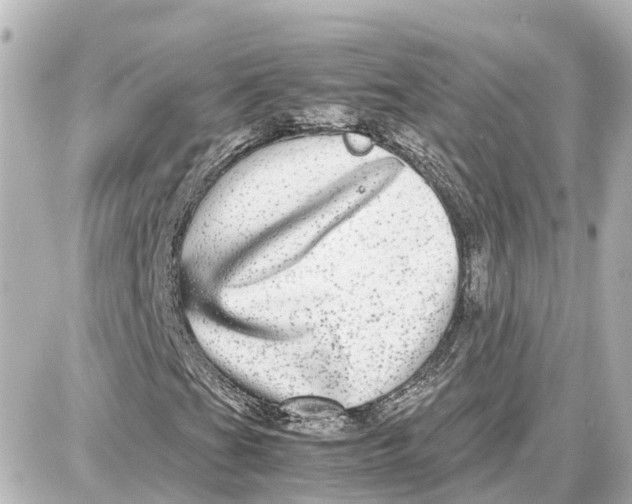 X0000087691201200705251700