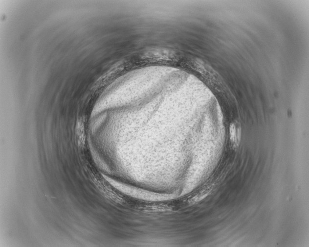 X0000087691203200705251700