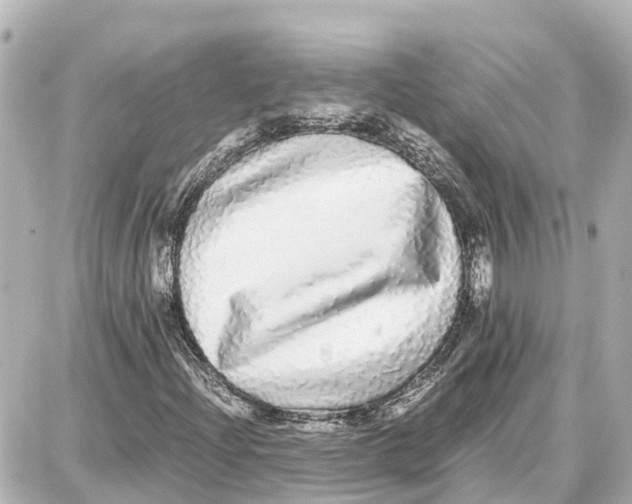 X0000087691204200705251700