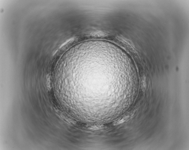 X0000087691205200705251700