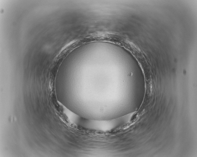 X0000087691206200705251700