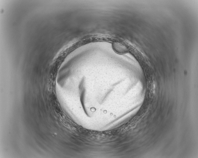 X0000087691207200705251700