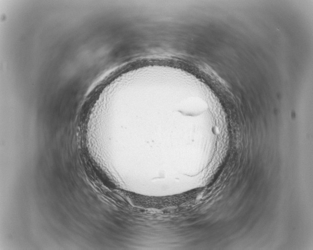 X0000087691208200705251700