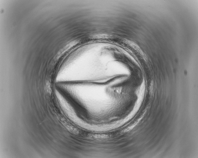 X0000087691209200705251700