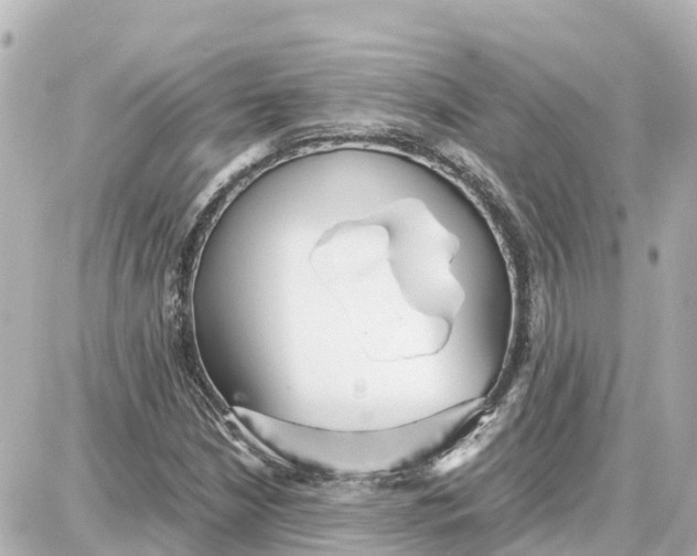 X0000087691210200705251700