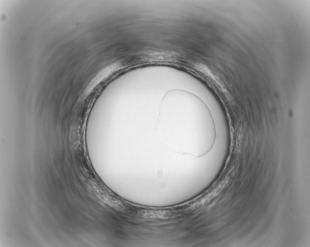 X0000087691211200705251700