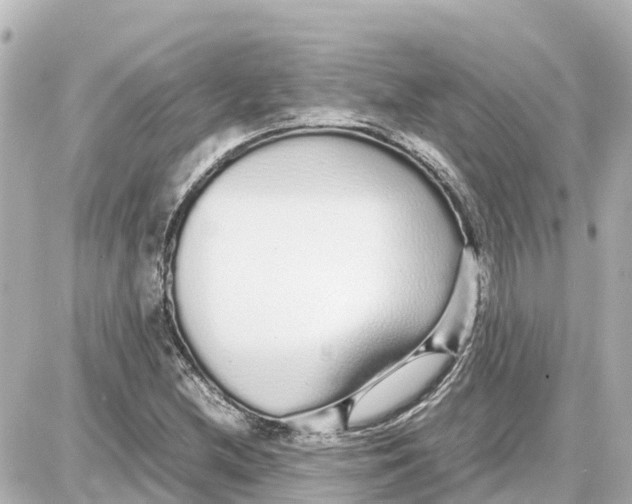 X0000087691212200705251700