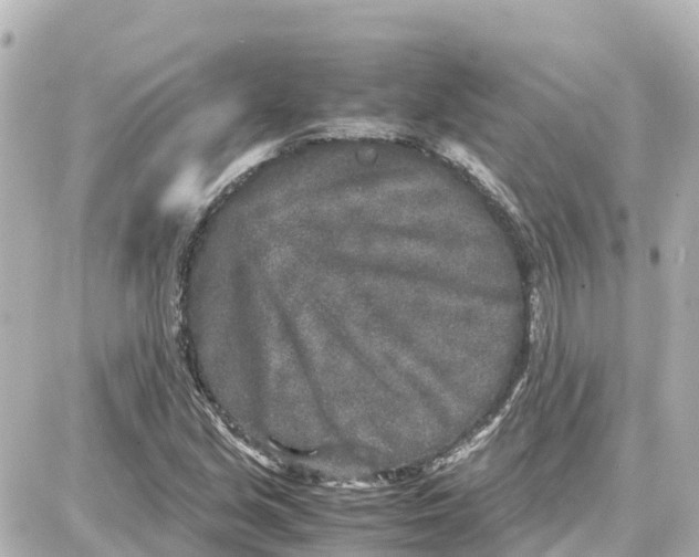 X0000087691213200705251700