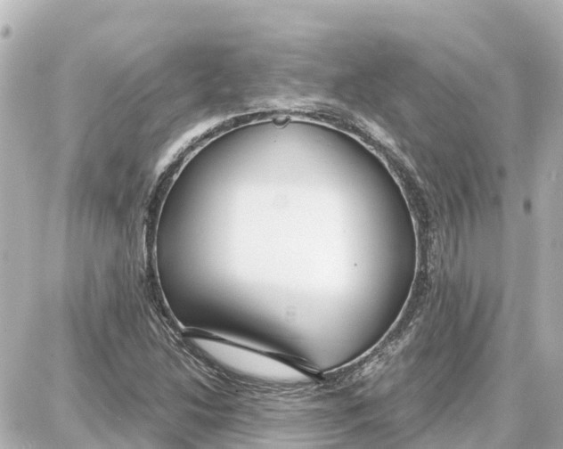 X0000087691214200705251700