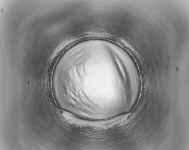 X0000087691215200705251700