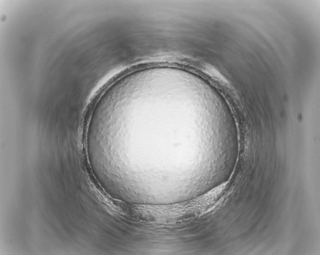 X0000087691216200705251700