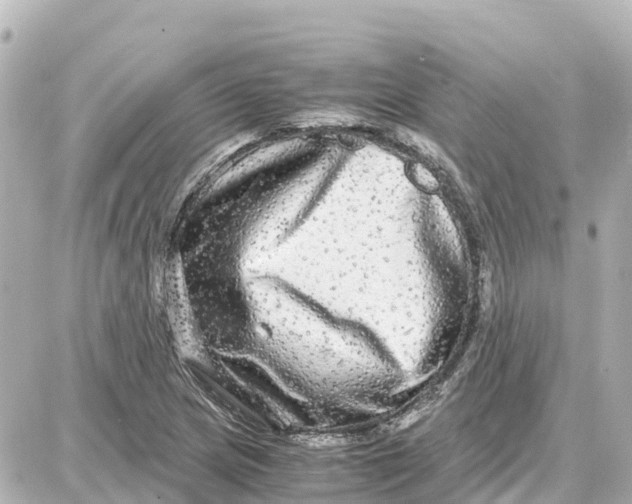 X0000087691217200705251700