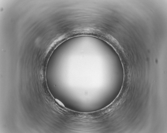 X0000087691218200705251700