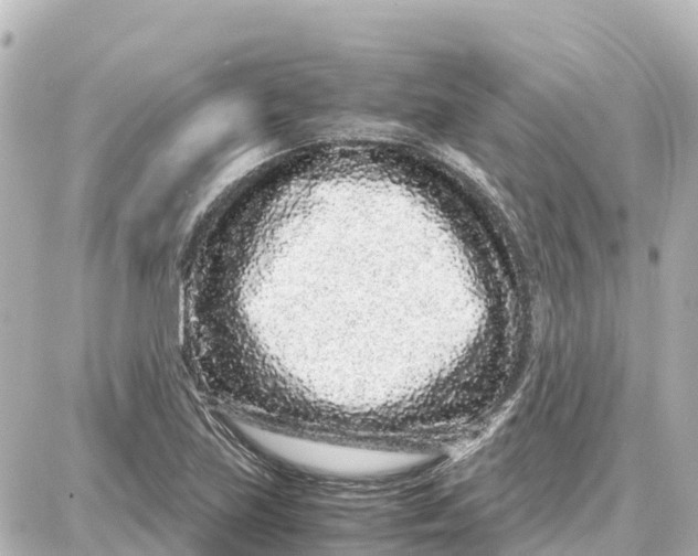 X0000087691219200705251700