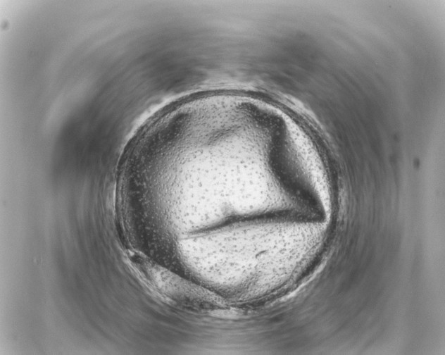 X0000087691220200705251700