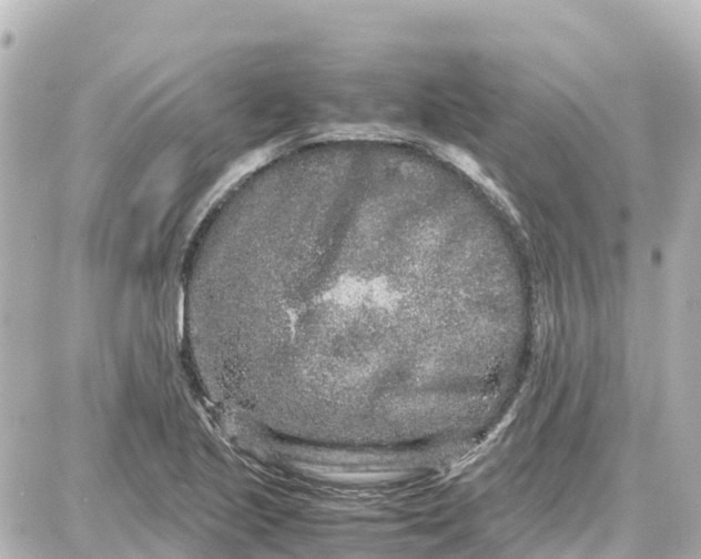 X0000087691221200705251700