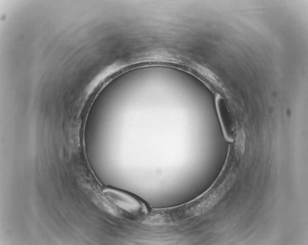 X0000087691222200705251700