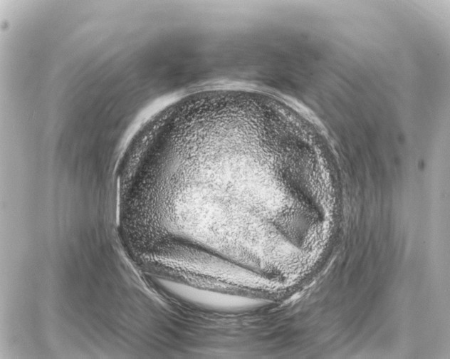 X0000087691223200705251700