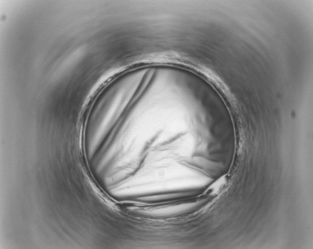 X0000087691224200705251700