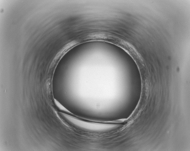 X0000087691225200705251700