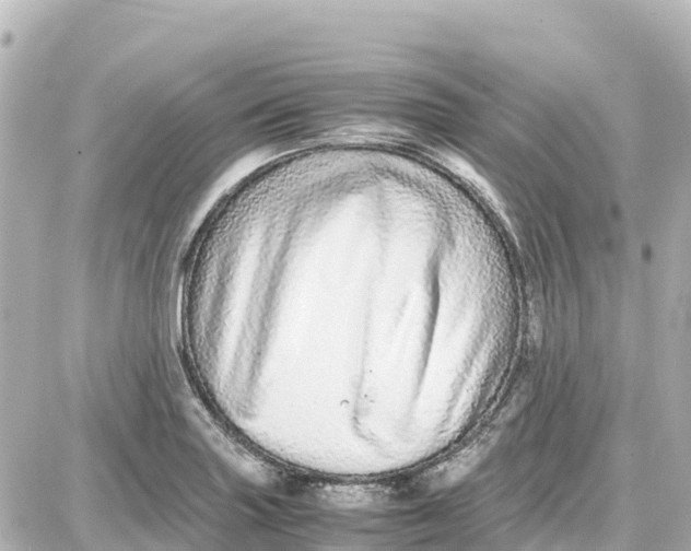 X0000087691227200705251700