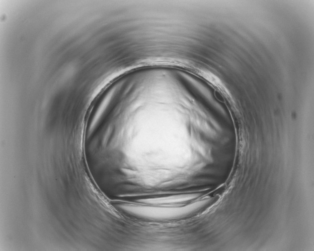 X0000087691228200705251700