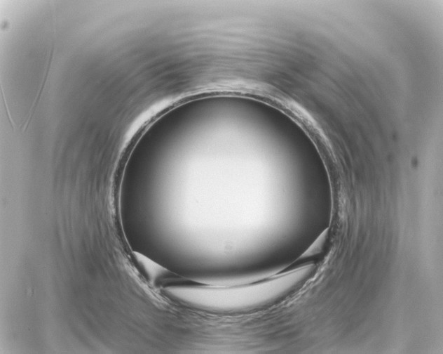 X0000087691230200705251700