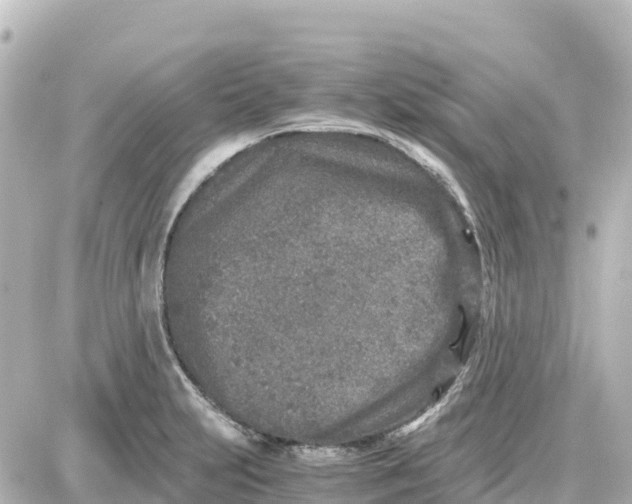 X0000087691231200705251700