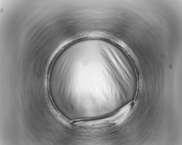 X0000087691232200705251700