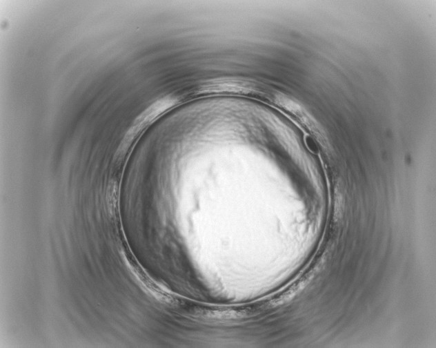 X0000087691233200705251700