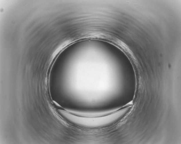 X0000087691234200705251700