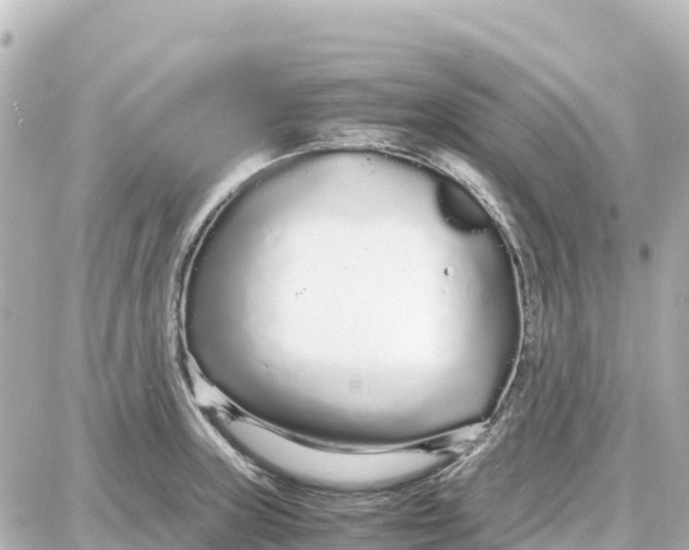 X0000087691235200705251700